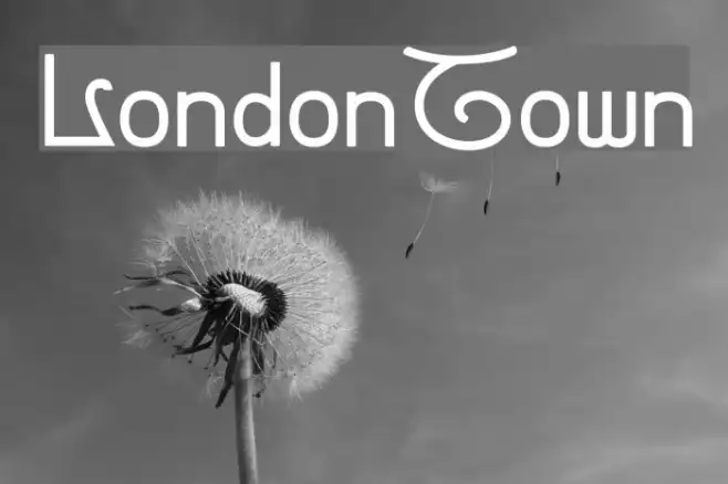 LondonTown Example 3