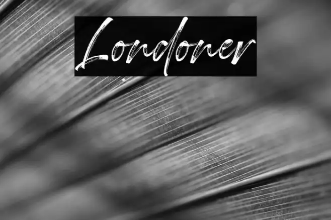 Londoner Example 3