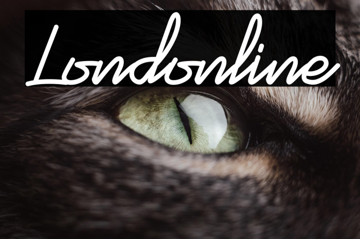 Londonline Example 1