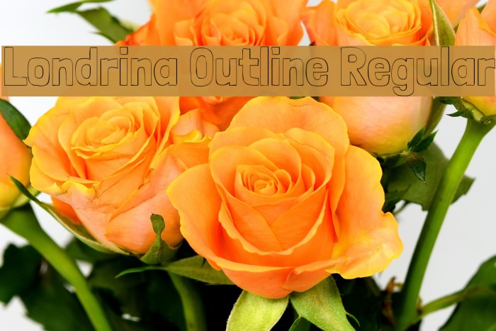Londrina Outline Regular Example 2