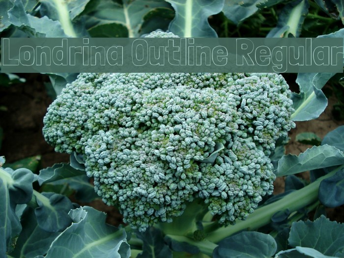 Londrina Outline Regular Example 3