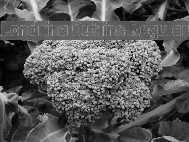 Londrina Outline Regular Font examples