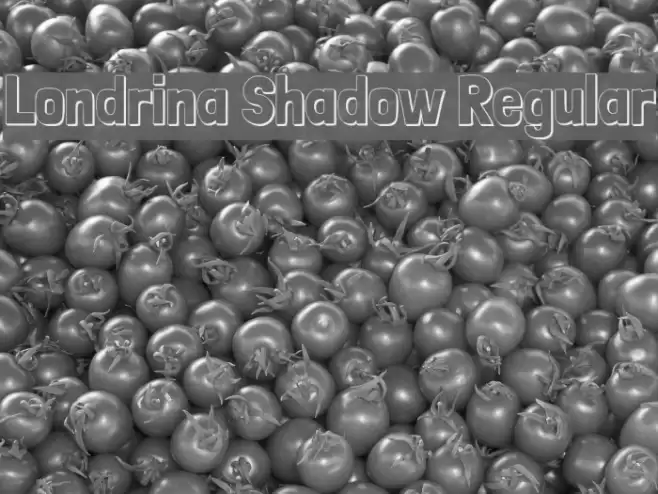 Londrina Shadow Regular Font examples