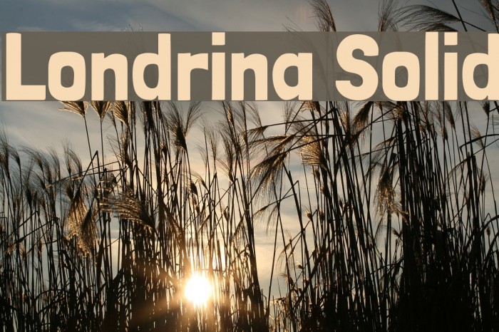 Londrina Solid Font examples