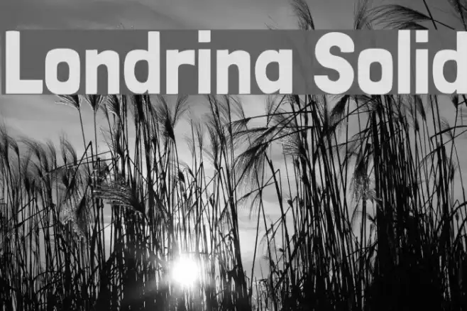 Londrina Solid Example 1