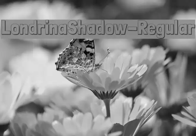 LondrinaShadow-Regular Example 2