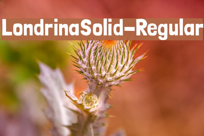 LondrinaSolid-Regular Font examples