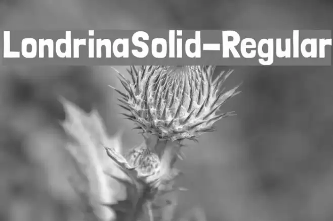 LondrinaSolid-Regular フォント examples