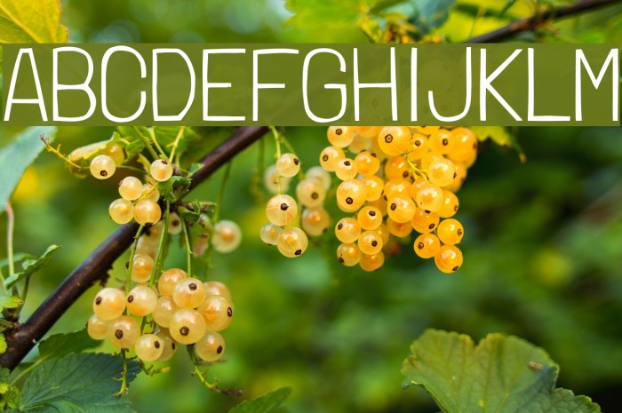 LondrinaThin-Regular Example 1