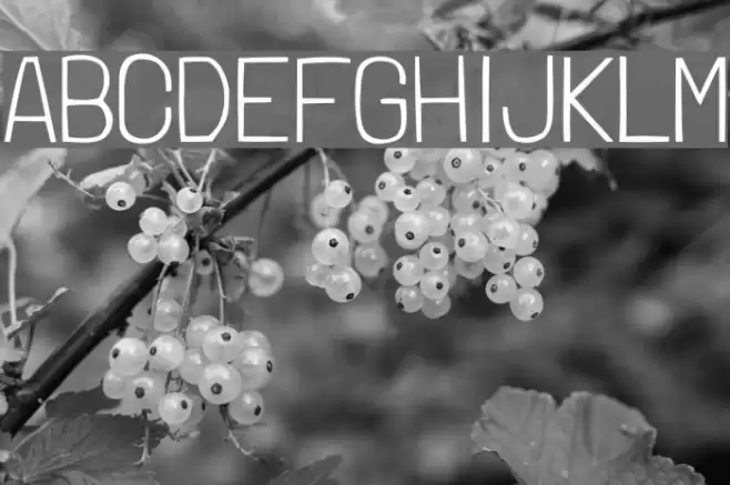 LondrinaThin-Regular Font examples