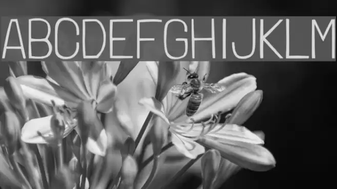 LondrinaThin-Regular Font examples