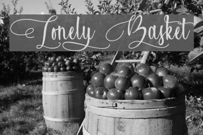Lonely Basket Font examples