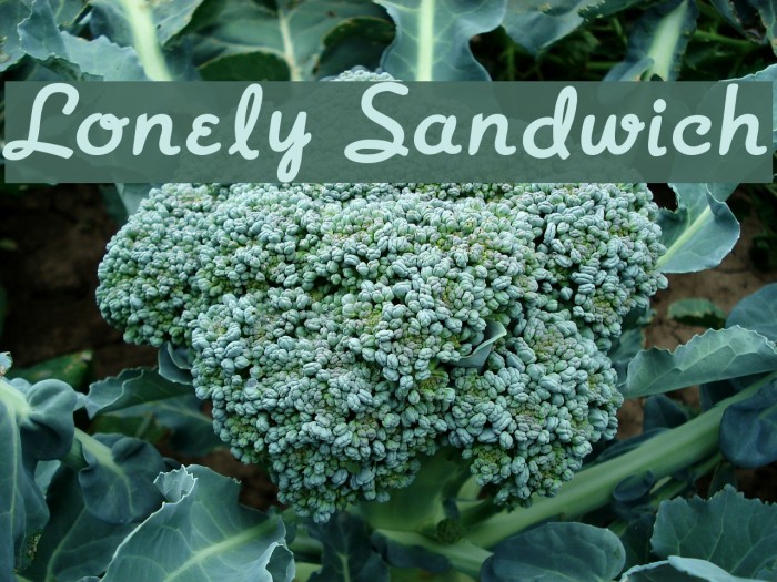 Lonely Sandwich Font examples