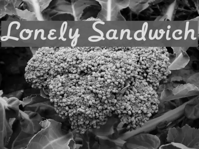 Lonely Sandwich フォント examples