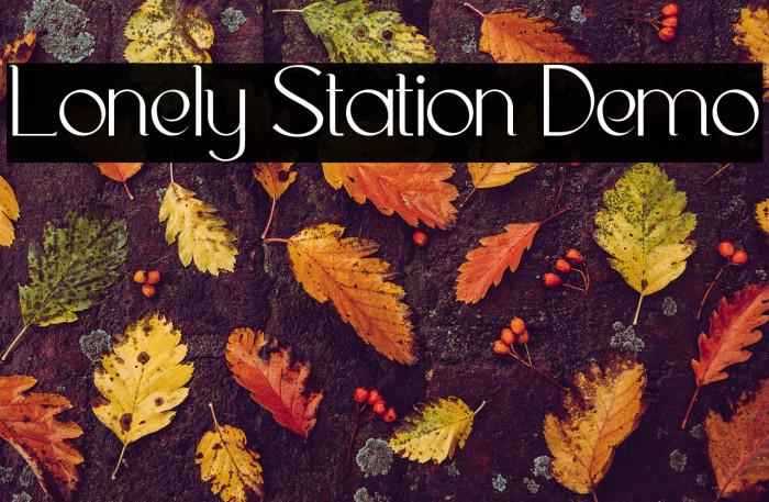 Lonely Station Demo Example 2
