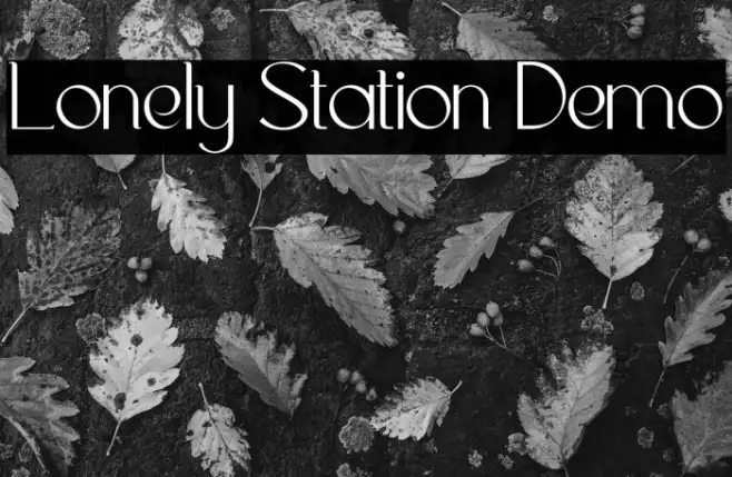 Lonely Station Demo Example 2