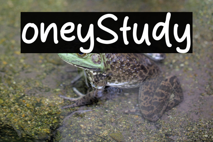 Lonely Study Example 1