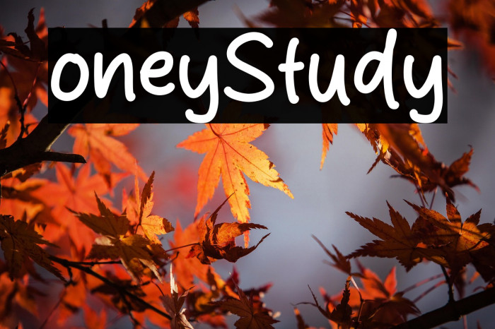 Lonely Study Example 3