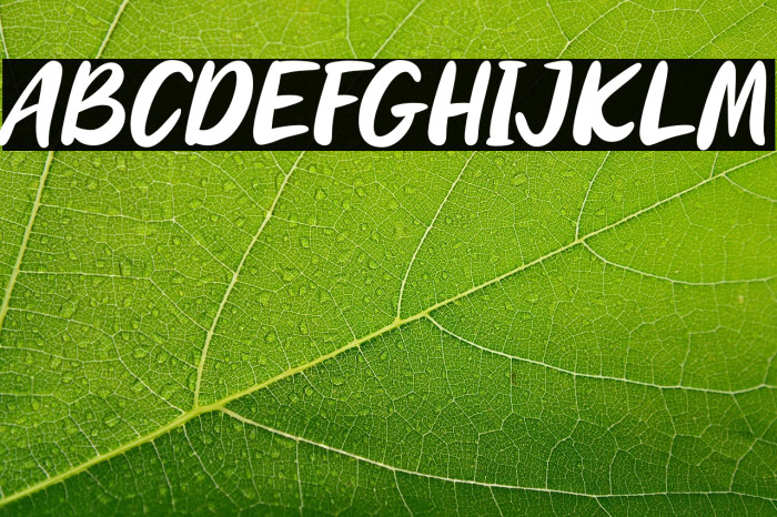 LonelyMelody Example 2