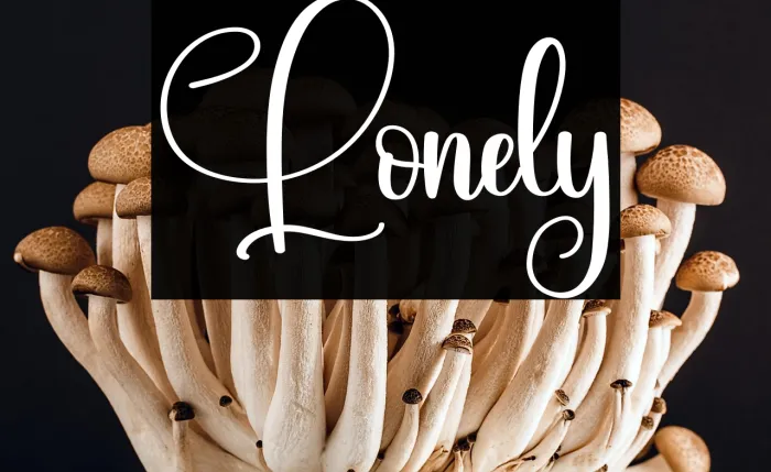 Lonely Example 2