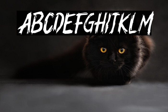 LonelydayFREE Example 3