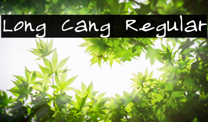 Long Cang Regular Font examples