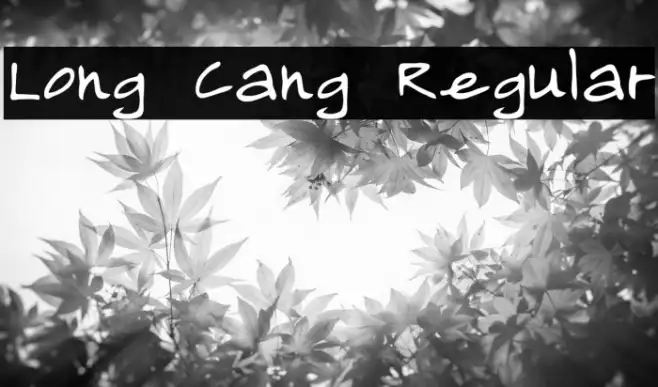 Long Cang Regular Example 2