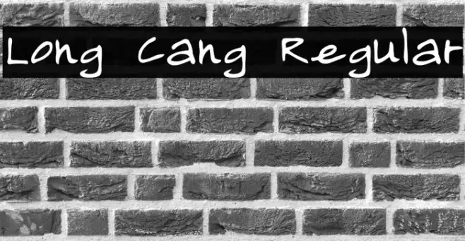 Long Cang Regular Example 3