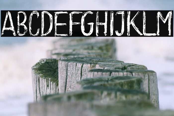 Long Clam Full Version Example 1