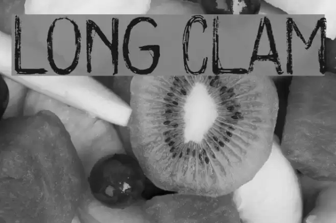 Long Clam Polices examples