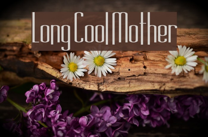 Long Cool Mother Example 1