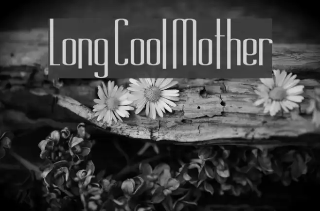 Long Cool Mother Example 1