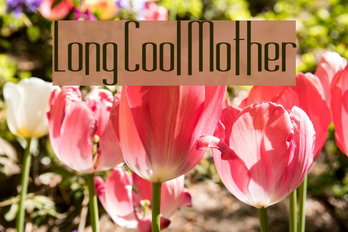 Long Cool Mother Example 2