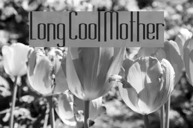 Long Cool Mother Example 2