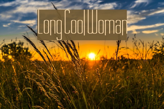 Long Cool Woman Example 1