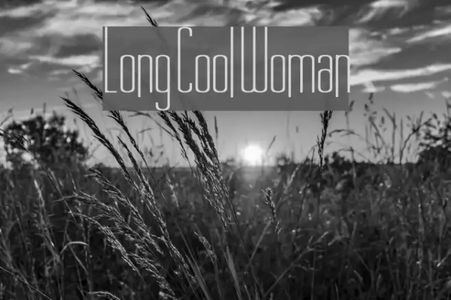 Long Cool Woman Example 1