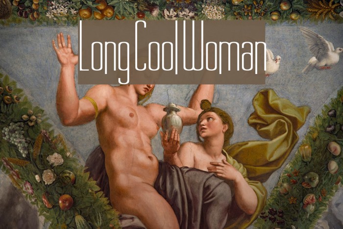 Long Cool Woman Example 3