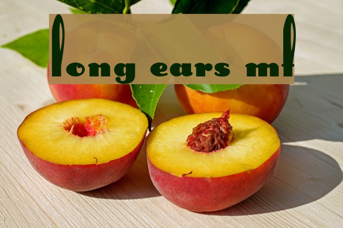 Long Ears MF Font examples