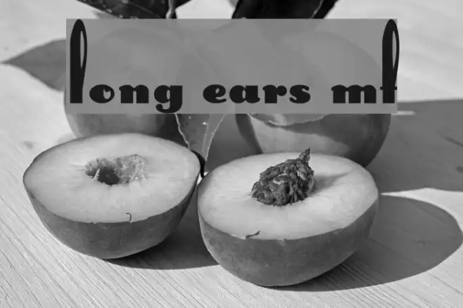 Long Ears MF Example 1