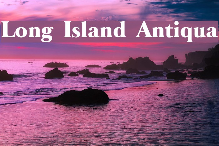 Long Island Antiqua Font examples
