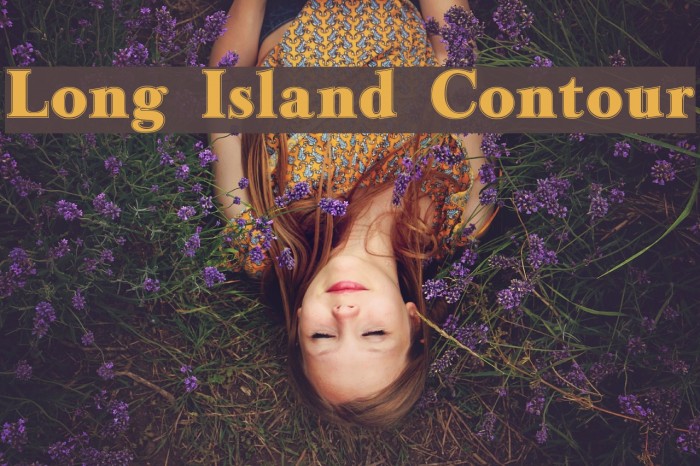 Long Island Contour Font examples