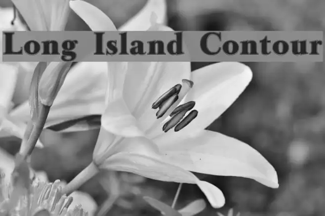 Long Island Contour Example 3