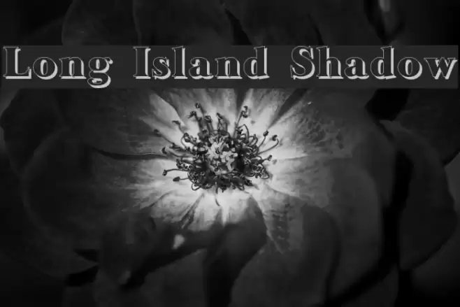 Long Island Shadow Font examples