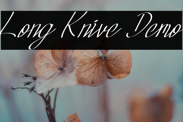 Long Knive Demo Example 3