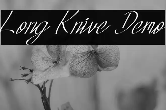 Long Knive Demo Example 3
