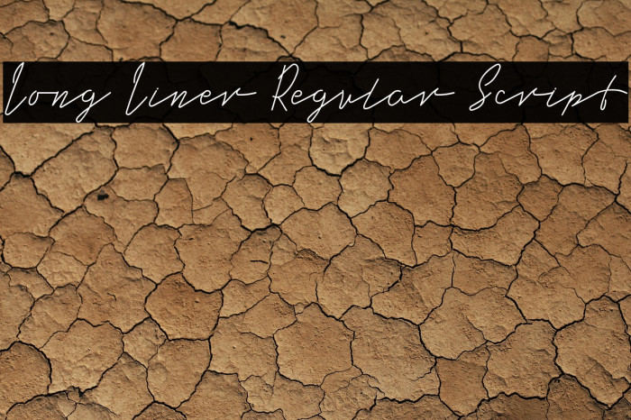 Long Liner Regular Script Example 1