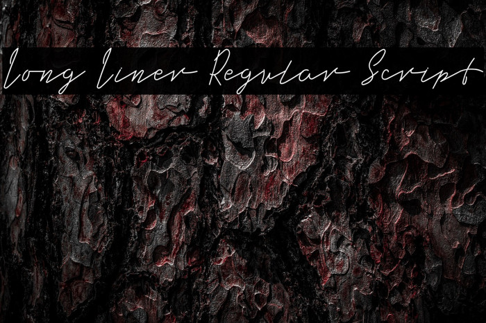 Long Liner Regular Script Example 2