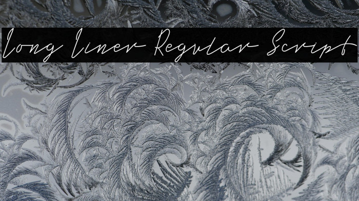 Long Liner Regular Script Example 3