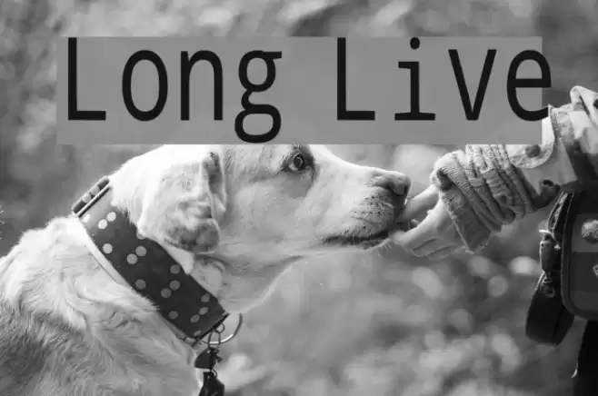 Long Live Font examples