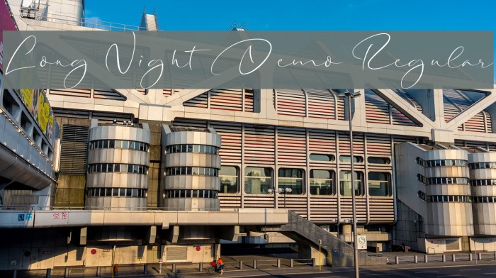 Long Night Demo Regular Font examples